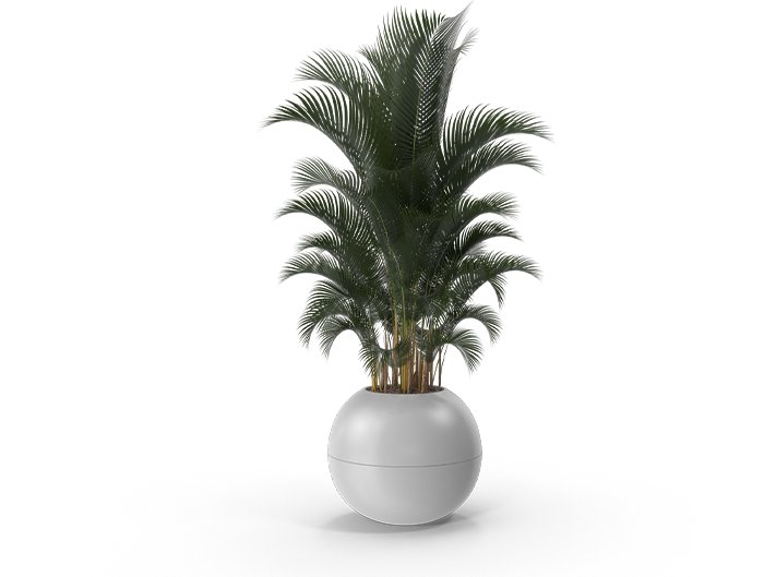 plant luxe 1